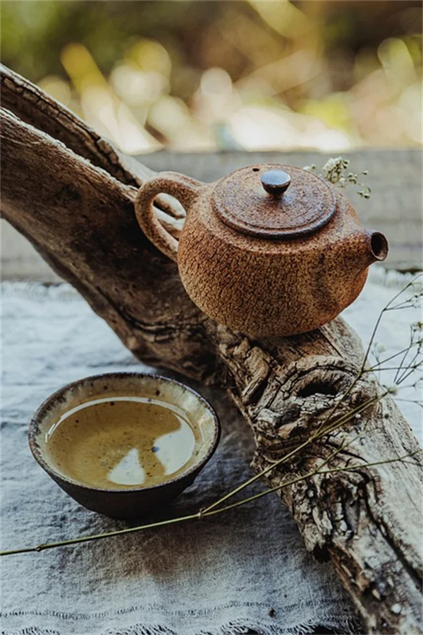蘭の花茎トレーニング、初心者でも折らずに成功するコツ